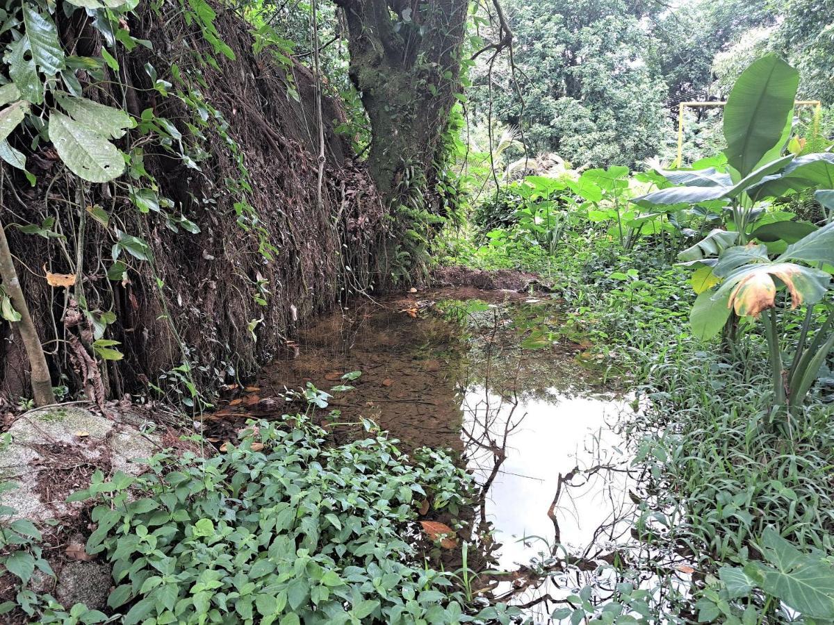 Paradisiaco, Piscina E Churrasqueira Em Guapimirim Extérieur photo